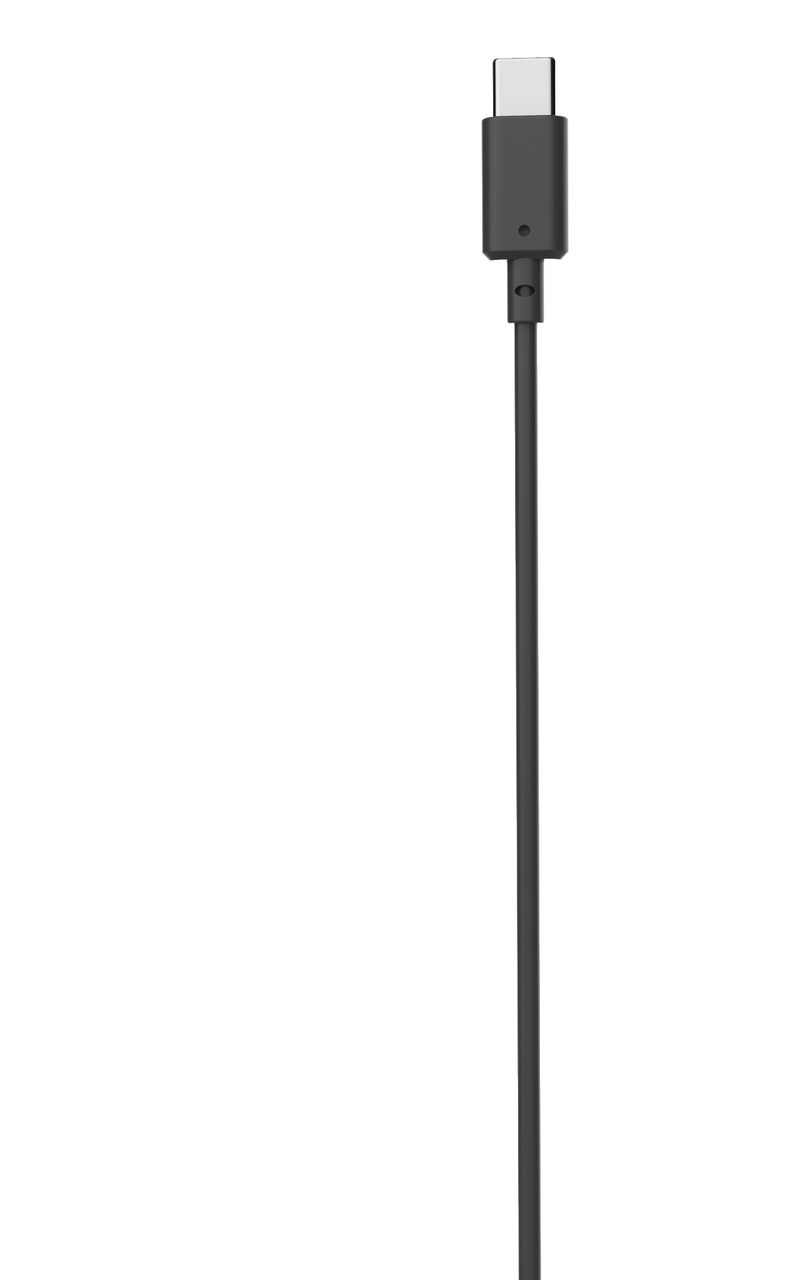 A black USB-C cable upright