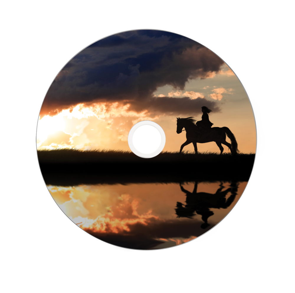 Dvd R Dl 43667 Printed